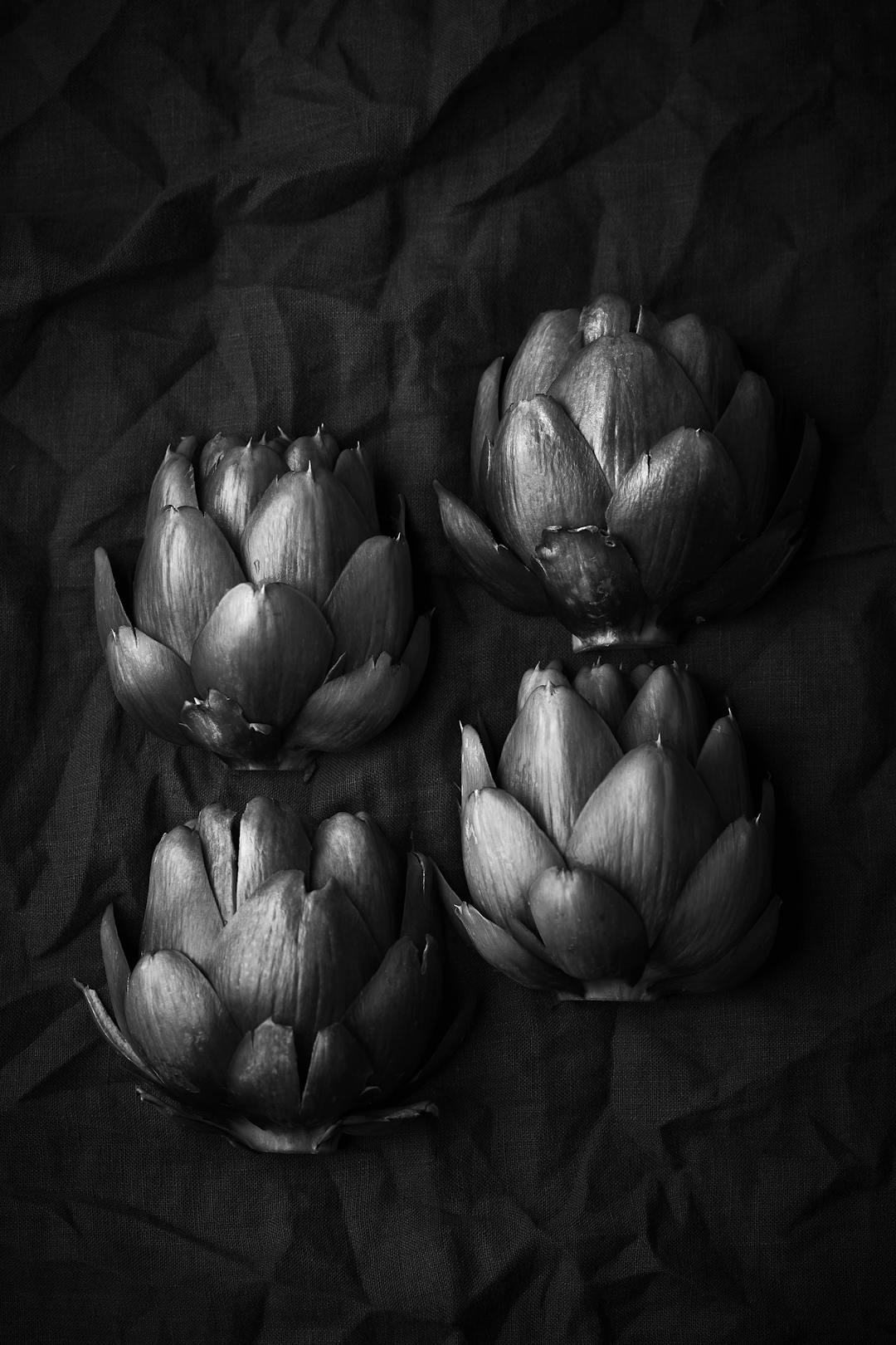 Artichoke_3