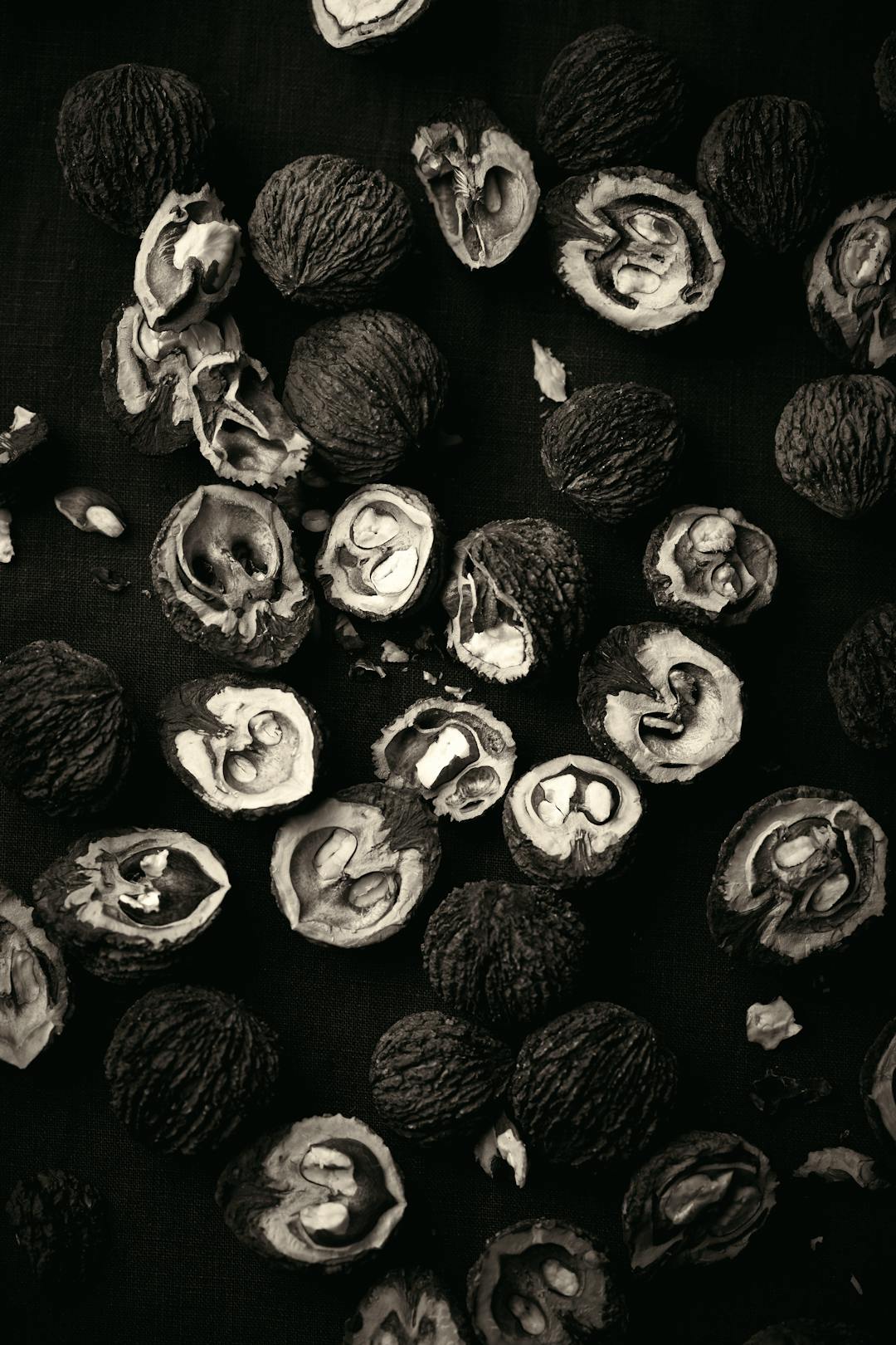 Black Walnut_V