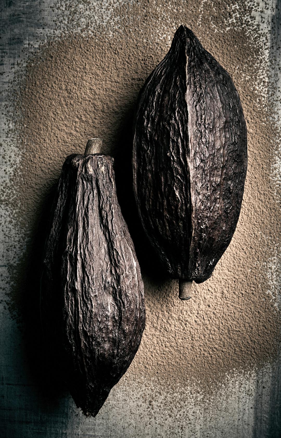 CocoaPod