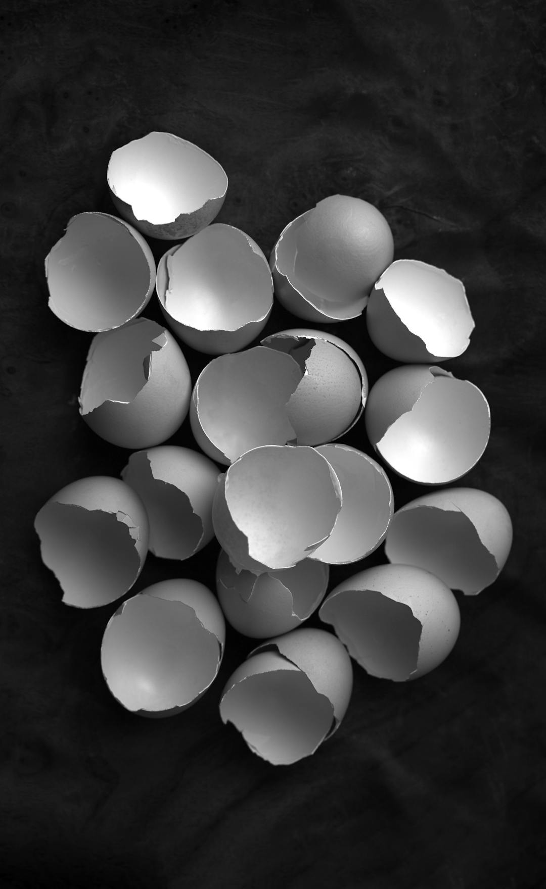 Eggs2
